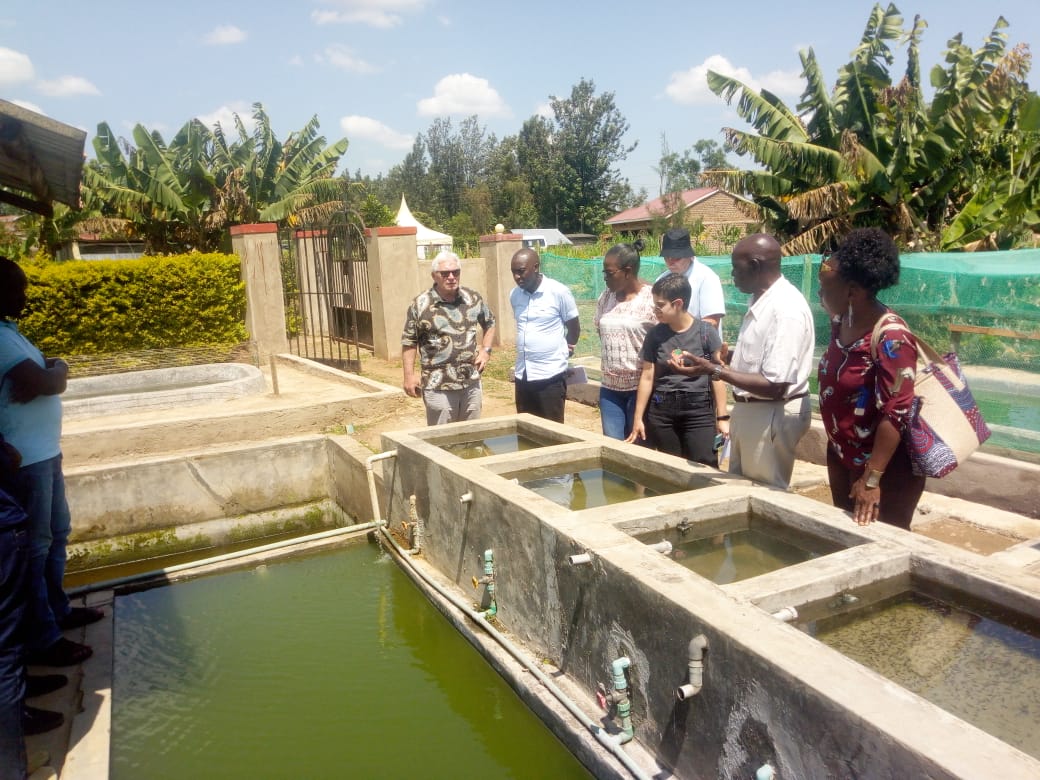 NGERO team and partners inspecting aquaculture fish ponds in the Nyanza Gulf region