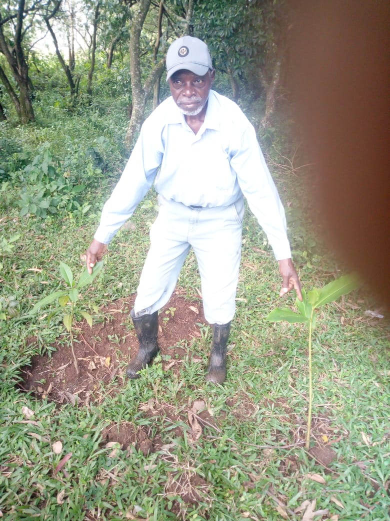 An NGERO participant planting tree seedlings
