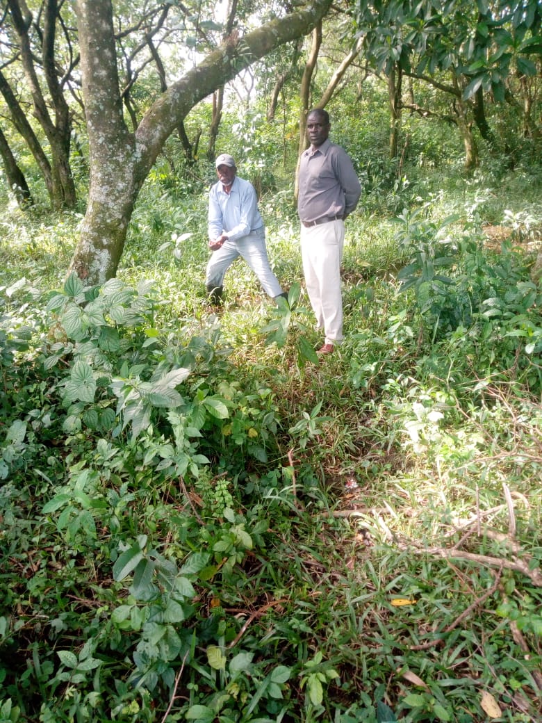 NGERO members surveying a forested riparian restoration site