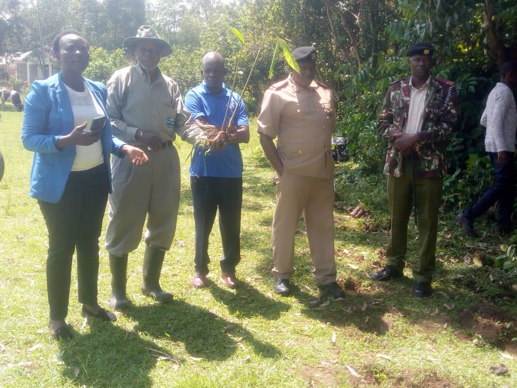 NGERO representatives and local officials at a tree-planting event